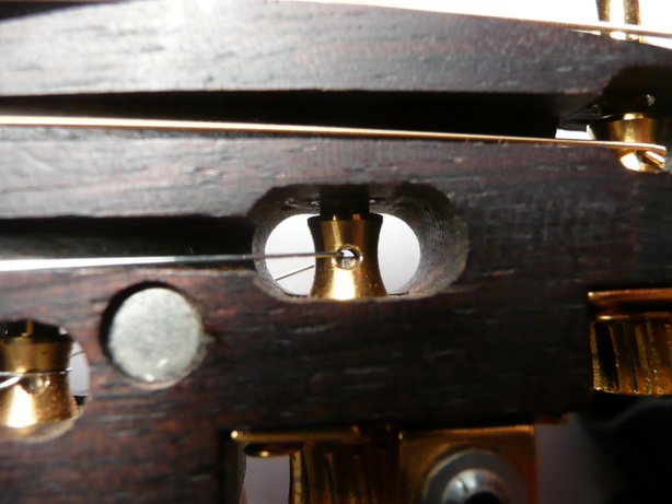 paradis07CsBstringOpenNewStringFrontView