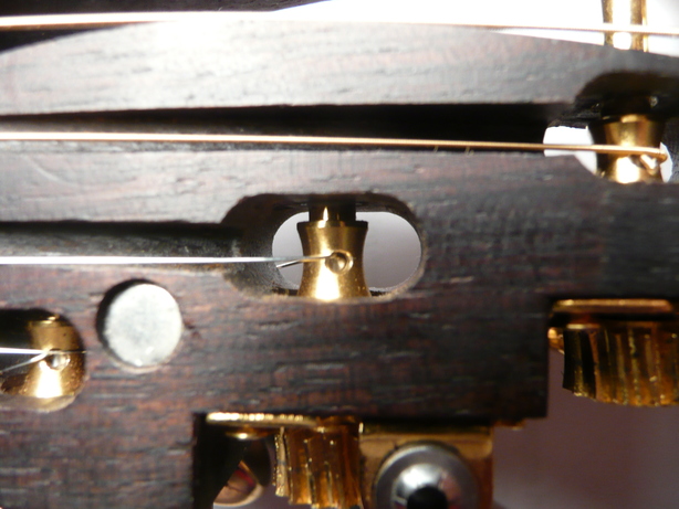 paradis08CsBstringClosedNewStringFrontView
