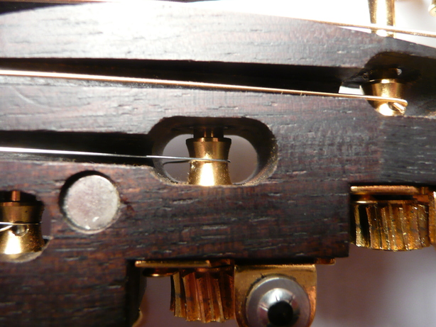 paradis09CsBstringTunedNewStringFrontView